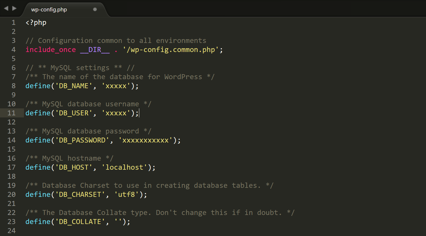 wp-config.php文件数据库访问凭证