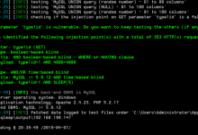 友价商城SQL注入 – 卿先生 – 博客园