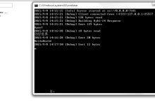 C#版Websocket实例 – Seaurl – 博客园