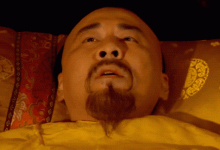 最新AI生成视频工具！效果不输快手可灵，CogVideoX下载介绍 – 老艾的AI世界 – 博客园